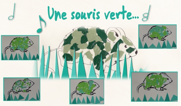 71 une souris verte